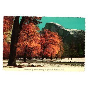 Scenic Beauty Yosemite National Park Vintage Postcard Snow Autumn Trees